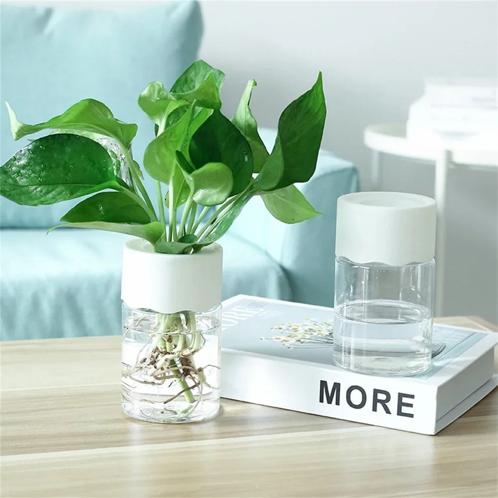 Transparent Mini Hydroponic Flower Pot – Modern Home Decor - Mrmora