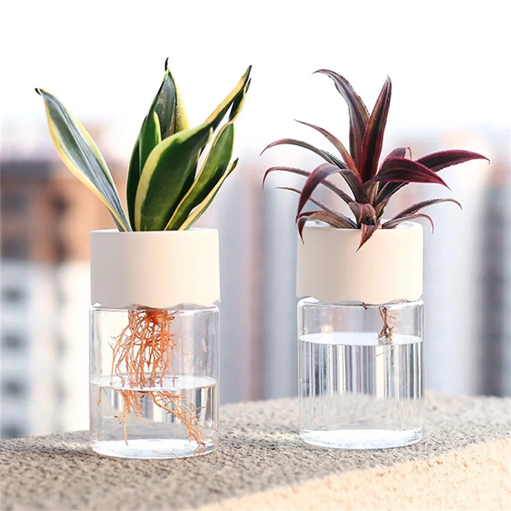 Transparent Mini Hydroponic Flower Pot – Modern Home Decor - Mrmora