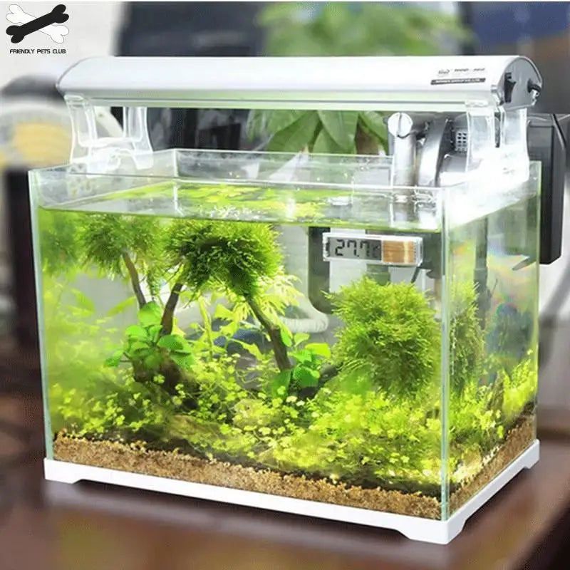 Digital Aquarium Thermometer - Mrmora