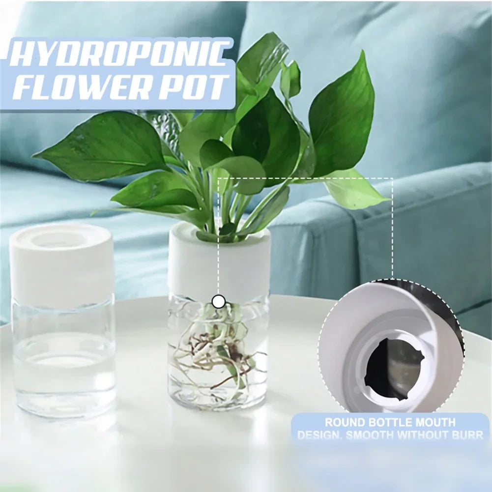 Transparent Mini Hydroponic Flower Pot – Modern Home Decor - Mrmora