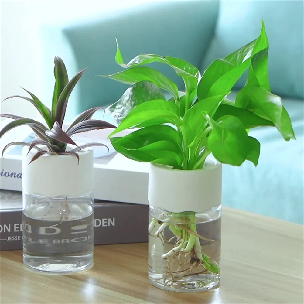 Transparent Mini Hydroponic Flower Pot – Modern Home Decor - Mrmora